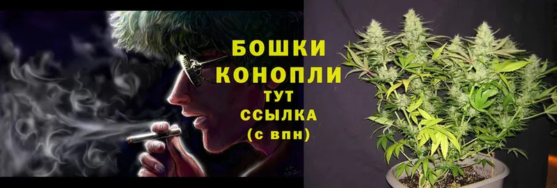 купить   Бакал  Марихуана Bruce Banner 